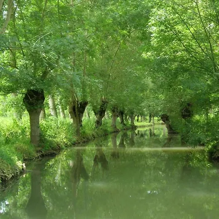 Gite In Etretat Near Cliffs & Beach, Cleaning Included * Bordeaux-Saint-Clair